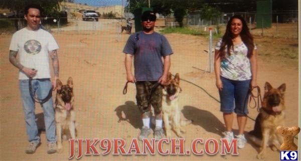 JJ K9 Ranch $100.00 off posted price this weekend only 6/8/13 6/10/13
